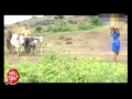 Very Hot Masala Hot Song 1