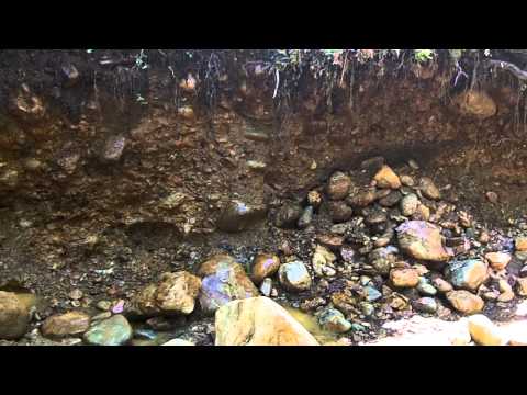 YouTube video about: Which of the following show evidence of ancient river beds?