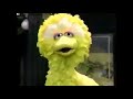 Sesame Street 2621 Imaginary Youth