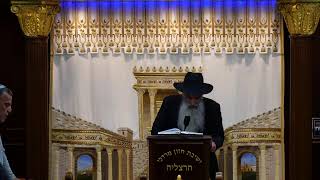 הרב מאיר דוד שמואלי שליט"א - שידור חי יום ד' - פרשת אמור תשפ"ו