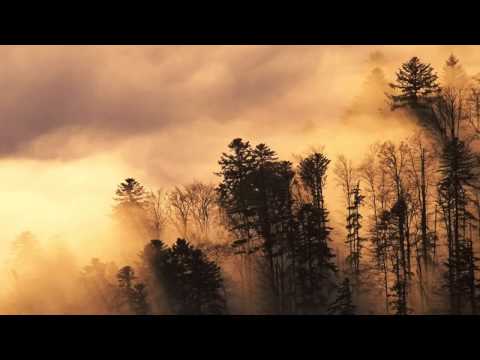 Solarscape   Zen Saint Rush Remix