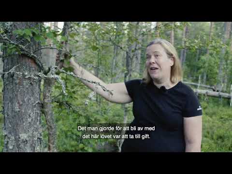 Skogsskolan om Lövträdens återkomst (textad)