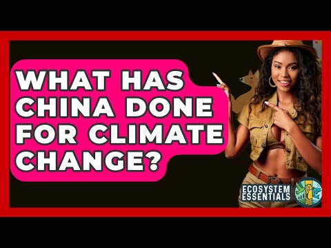 What Has China Done For Climate Change? - Ecosystem ...