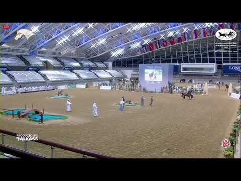 N 261 AL MUGALI ALNAIF   9th Qatar National AHS for Individual Owners   Stallions 7 10 Years Old Cla