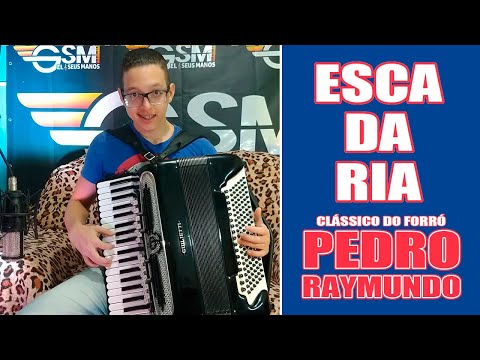 O Sanfoneiro SOLA ESCADARIA em RITMO de SAMBÃO na Sanfona