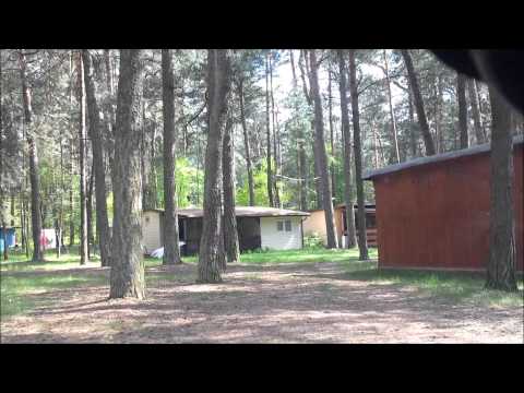 Wycieczka - Przygłów, Las - Bunkry