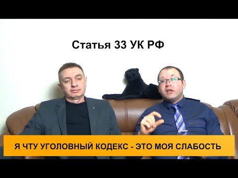 Статья 33 УК РФ. Виды соучастников преступления