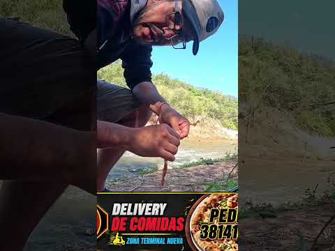 Pesca y Cocina en LOS PUESTOS, Bagres y Asado #pesca #fishing #argentina #fish #tucuman