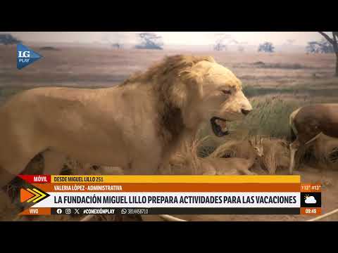 Vacaciones de julio: El imperdible plan para los chicos en el Miguel Lillo