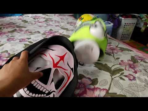 Rey misterio lol😮😮😮