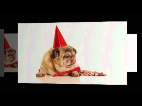 Horse Nation ESMA Acceptance Speech