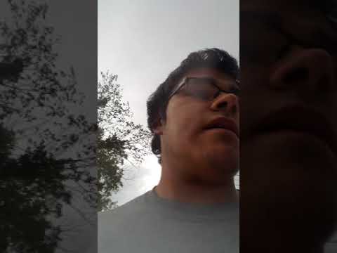 Imtug gripper review