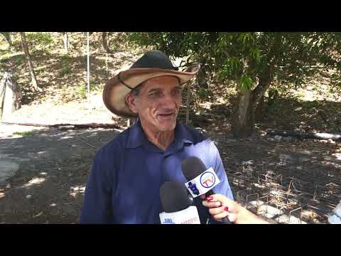 DESGRANADORA MUNICIPAL BENEFICIA A CIENTOS DE PRODUCTORES DE MAÍZ EN DELICIAS DE CONCEPCIÓN