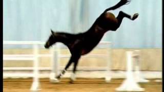 Video di Van Helsing