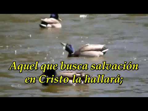 007 Oh Dios, mi soberano Rey