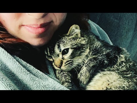 This kitten's mother didn't want him. So a woman raised him like her baby.