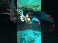 Let Them Say We Are ‍ ️ Merman Brizoazariel Merbaby Underworldmagic