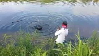 雷強 鯰魚 [ Topwater Frog Fishing For Catfish]