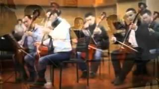 Н Жанцанноров   Нар сарны зааг OST