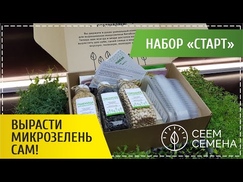 Вырасти микрозелень сам! | Посев семян микрозелени в НАБОРЕ СЕЕМ СЕМЕНА СТАРТ