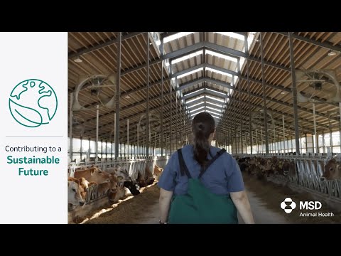 Sustainability and Animal Welfare