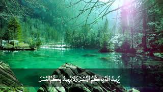 صورة تلاوات مختارة من القرآن الكريم بصوت الشيخ د. محمد حسان