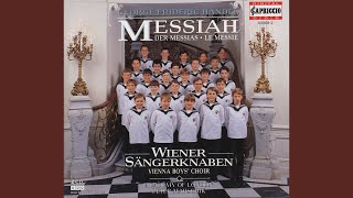 Messiah, HWV 56: Part I: Accompagnato: Thus saith the Lord of Hosts (Bass)