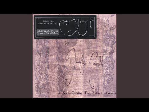 Ursusarktos the Bachelor