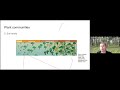 Woodland, Savanna, Prairie: How Native Plant Communities Fit into Your Garden