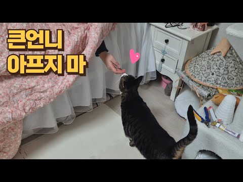 아파서 조퇴하고 온 큰언니를 가족처럼 대해준 보름이! 이런 행동 처음이에요