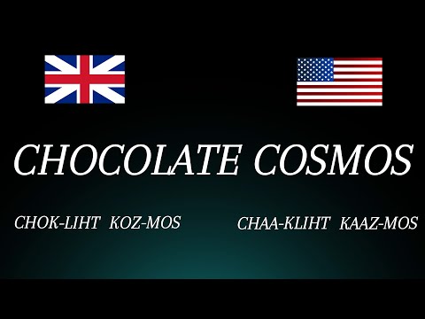 Learn How to Pronounce 'Chocolate Cosmos' Perfectly: UK vs USA (Flower Pronunciation)