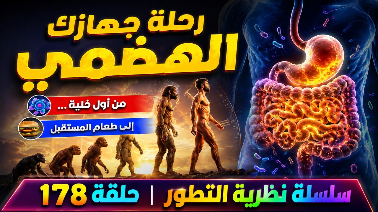 الجهاز الهضمي كيف تحوّل من آلة بدائية إلى أعقد مصنع داخل جسدك