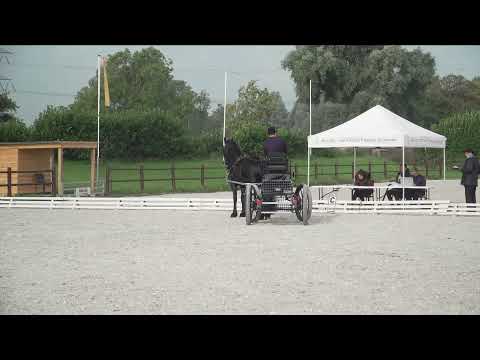 Ibop te Wergea | 27 september 2021