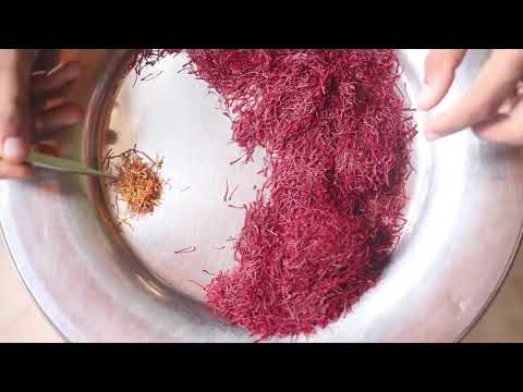 10kg Kashmiri Mogra Saffron