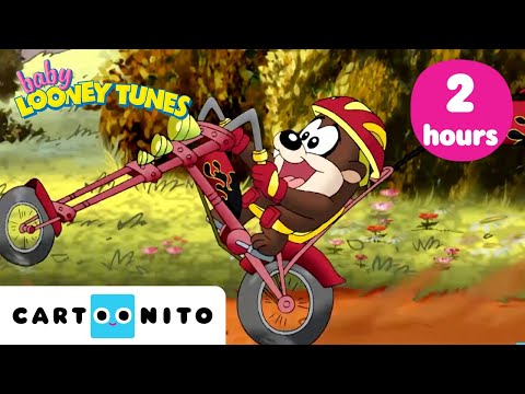 Scooter Adventures | 2 HOURS of Baby Looney Tunes marathon | Cartoonito
