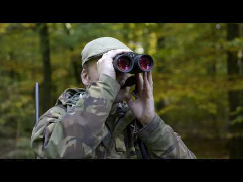 SAUER 404 - Damwildbrunft