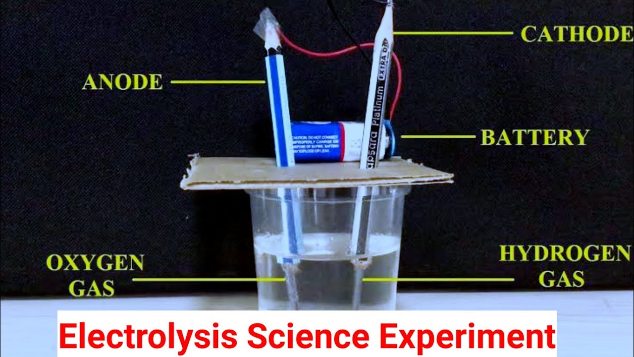SCIENCE EXPERIMENT | ELECTROLYSIS | eduvector