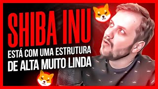 ANLISE DE SHIBA INU, APROVEITE PARA LUCRAR COM ELA - AUGUSTO BACKES