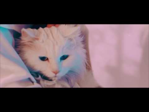 [TEASER] 문현아 - 크리켓송 / Moon Hyuna - CRICKET SONG