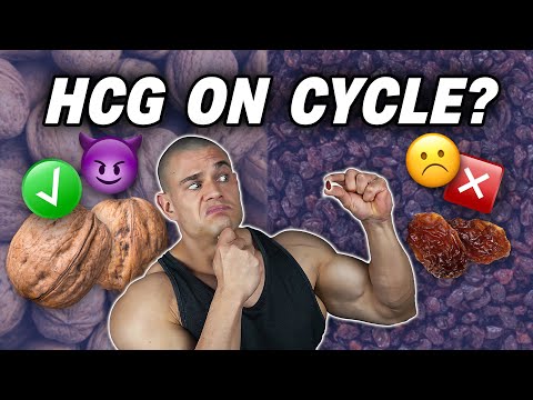 The Pro's & Con's Of HCG On Cycle | Desensitization | Testicular Volume | Semen Volume | Fertility