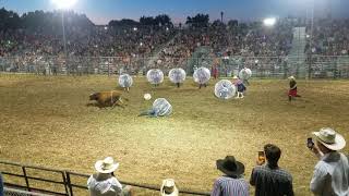 Bull Soccer 2018 Waconia Rodeo
