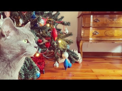 video frame placeholder