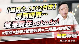 【玻璃心-1802台玻】買到賺到…就是買在nobody!#南亞#台玻#被動元件#二極體#玻纖布｜小武哥投資事務所｜陳武傑