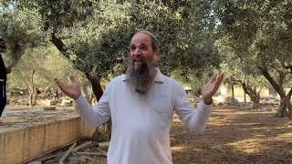 מלוכה למען הגאולה | הרב בועז מלט (ישיבת הר הבית) - התמונה מוצגת ישירות מתוך אתר האינטרנט יוטיוב. זכויות היוצרים בתמונה שייכות ליוצרה. קישור קרדיט למקור התוכן נמצא בתוך דף הסרטון