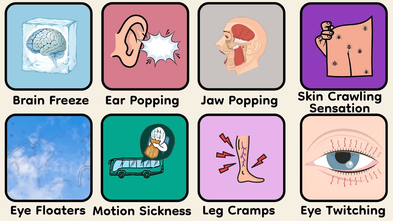 Every Body Glitch Explained