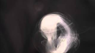 Dead Prez &amp; The Marley Brothers with Ghetto Youths Crew ~ Dem Crazy