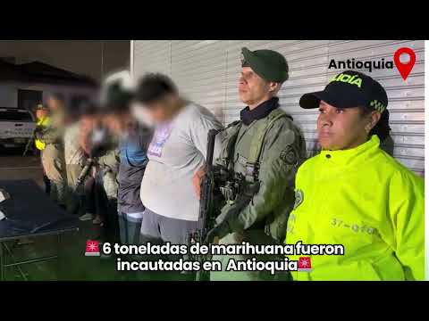 6 toneladas de mar1hu@n@ fueron 1nc@ut@das, en  Girardota Antioquia