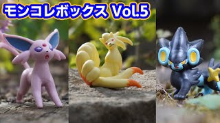 ポケモンおもちゃ#21 モンコレボックスVol.5 　エーフィ　キュウコン　レントラー　開封＆写真【オモ写/フィギュア/モンコレ/人形】