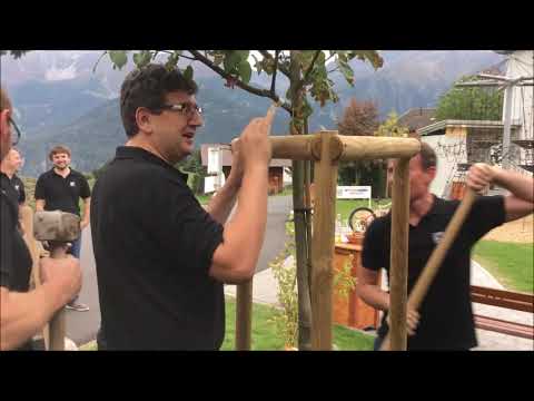 Baumfilm MV Frickingen MK Fiss