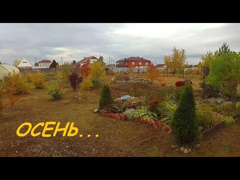 СУПЕР ВЕДРО ДЛЯ УБОРКИ! 16.09.21